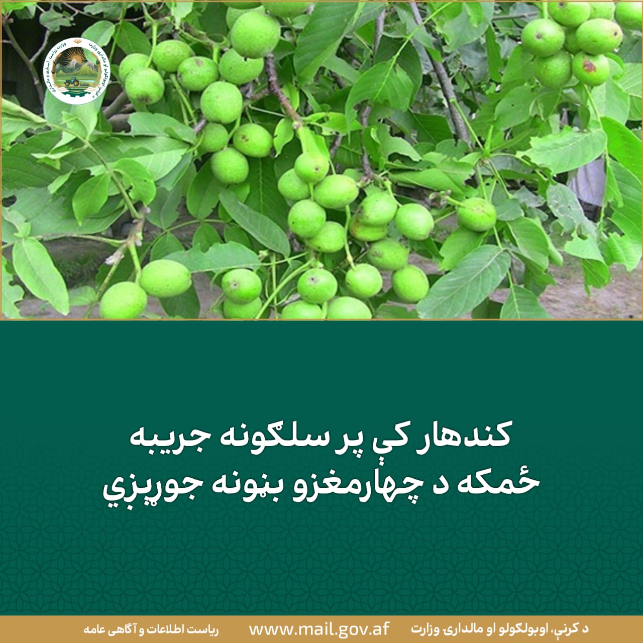 د ورځ مهمی خبری