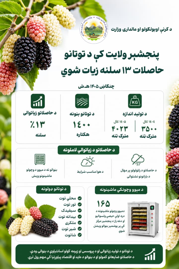 انفوګرافیک: په پنجشیر کې د توتانو حاصلات ۱۳ سلنه زیات شوي